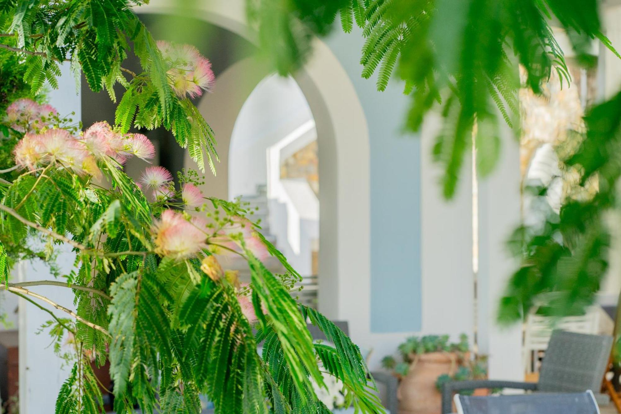 Villa Acacia 폰차 외부 사진