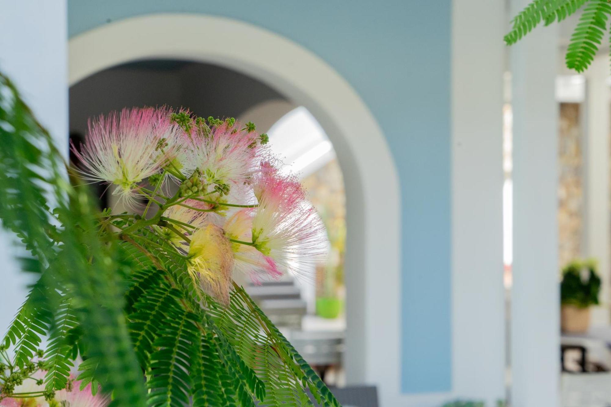Villa Acacia 폰차 외부 사진